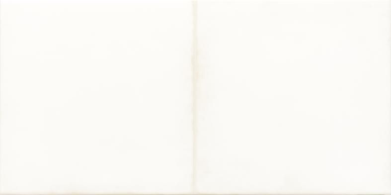 Obklad Rako Retro 20×40 cm bílá (dekor 20×20 ) WARMB521 RAKO