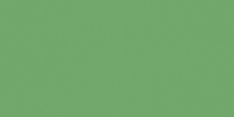 Obklad Rako Color One 20×40 cm zelená lesklá